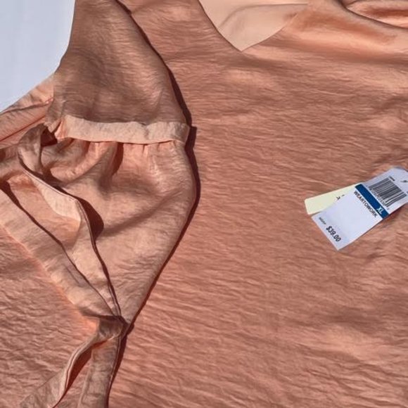 Chiffon Pink Blouse - Picture 8 of 14